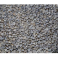 New design 100 pure green coffee bean